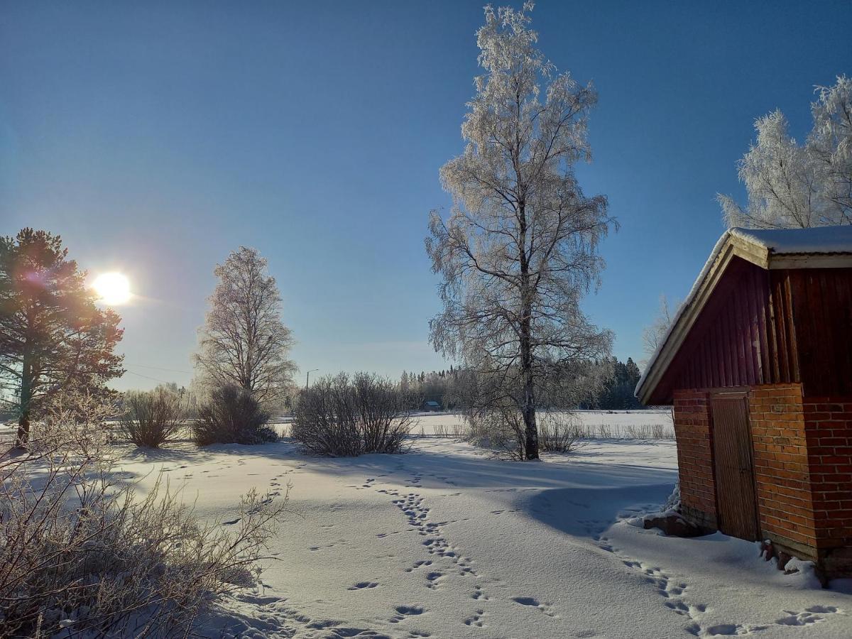 Opintola Bed & Breakfast Norinkyla Bagian luar foto